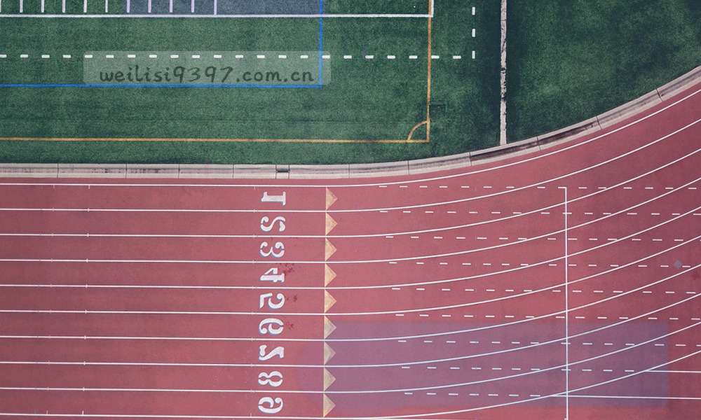 五种条目状态标记图例特写，每种标记旁配一行说明文字